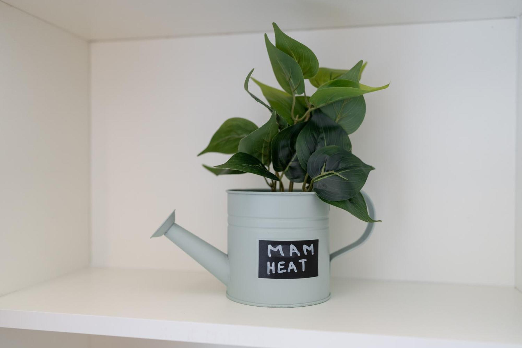 Mam Heat Apartments - Viana City Centre Viana do Castelo Ngoại thất bức ảnh